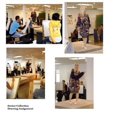 Senior Collection Exercise