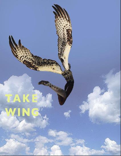 takewing